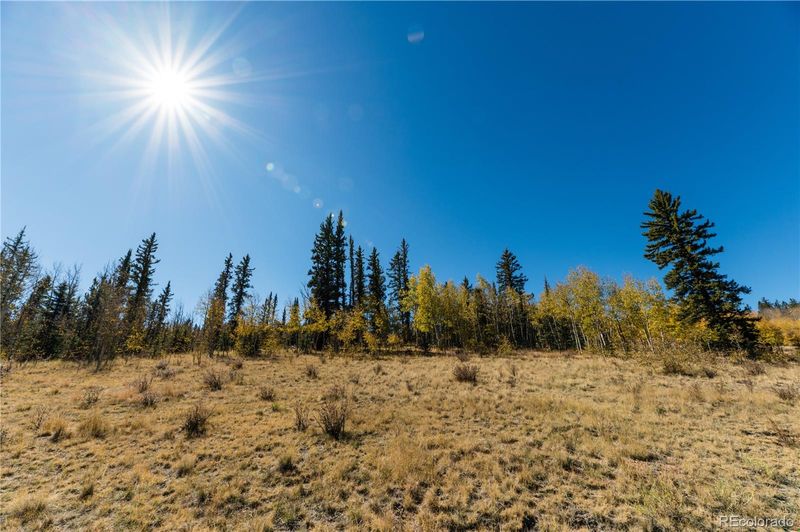 2479 Buffalo Ridge Rd Lot 13, Jefferson, CO 80456