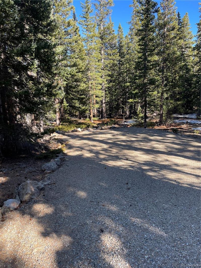 1401 Prunes Pl, Fairplay, CO 80440