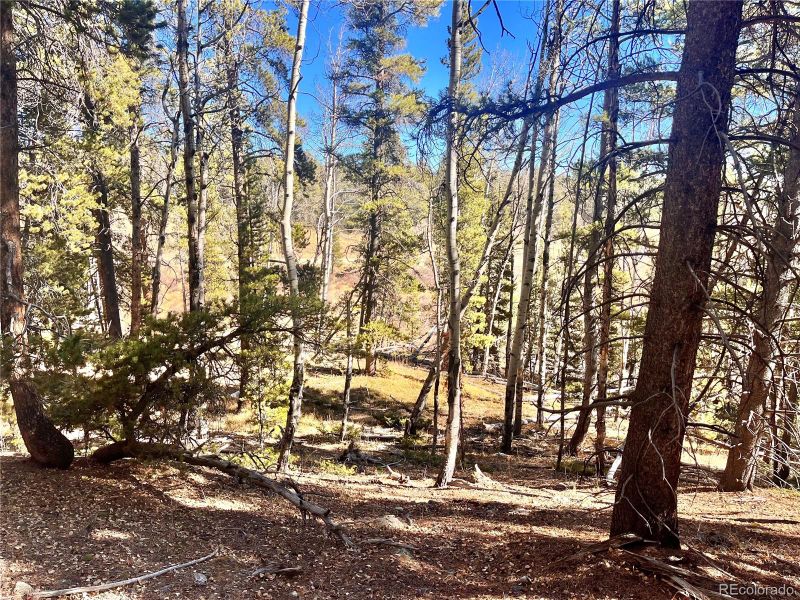 610 Lakeside Dr, Fairplay, CO 80440