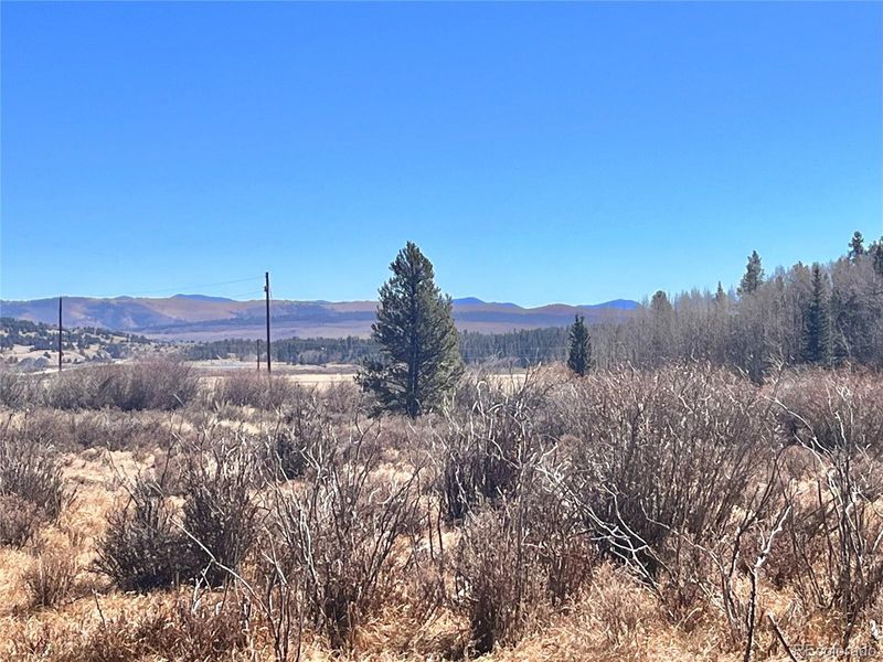 610 Lakeside Dr, Fairplay, CO 80440