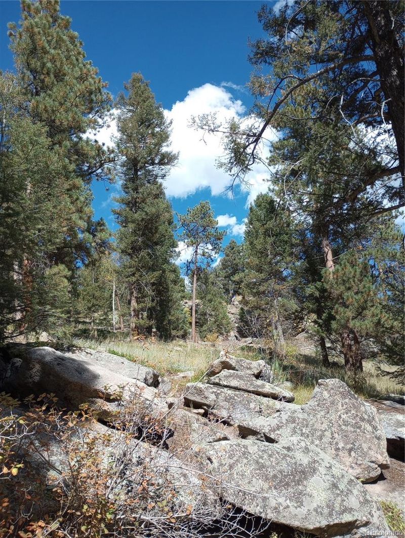 11555 S Us Highway 285 Frontage Rd, Conifer, CO 80433
