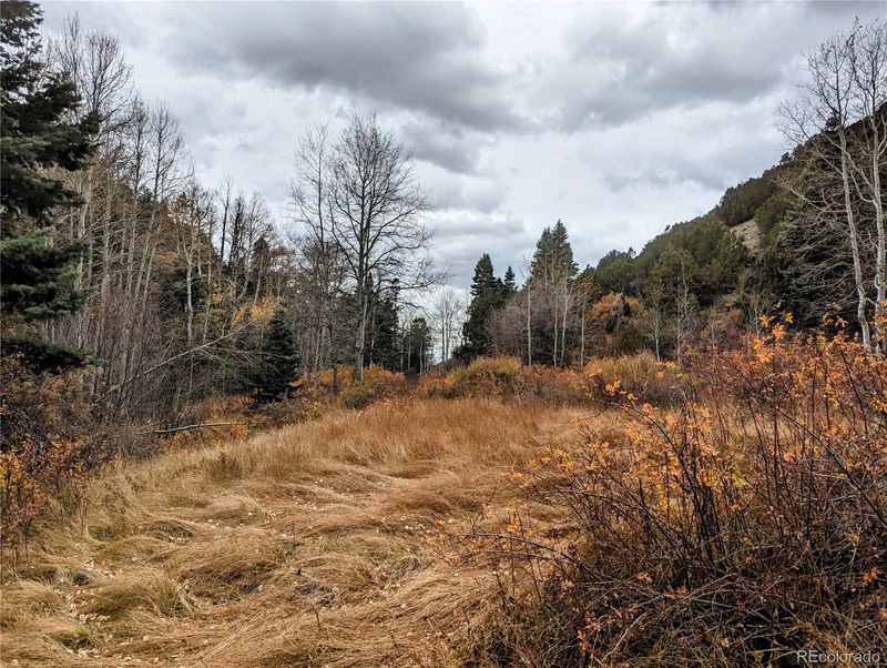 Lot 5471 Joy Rd, Fort Garland, CO 81133