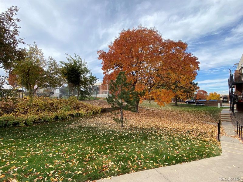 5995 W Hampden Ave #8, Denver, CO 80227