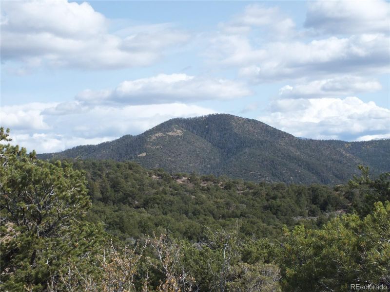 Santa Rd, Blanca, CO 81133