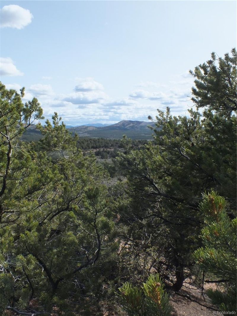 Santa Rd, Blanca, CO 81133