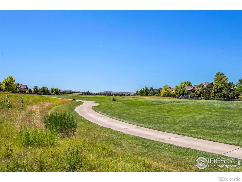 7288 Crystal Downs Dr, Windsor, CO 80550