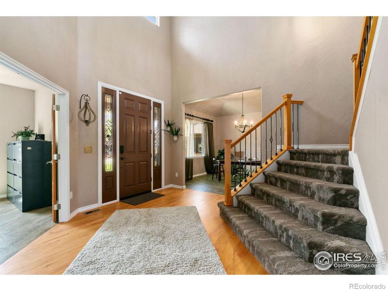 1401 Bison Ridge Ct, Windsor, CO 80550