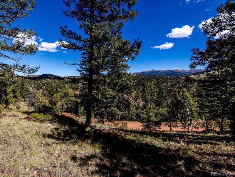 439 Andes Rd, Cripple Creek, CO 80813