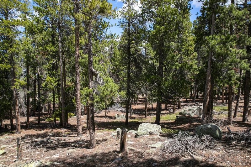 17-B Ronnie Rd, Golden, CO 80403