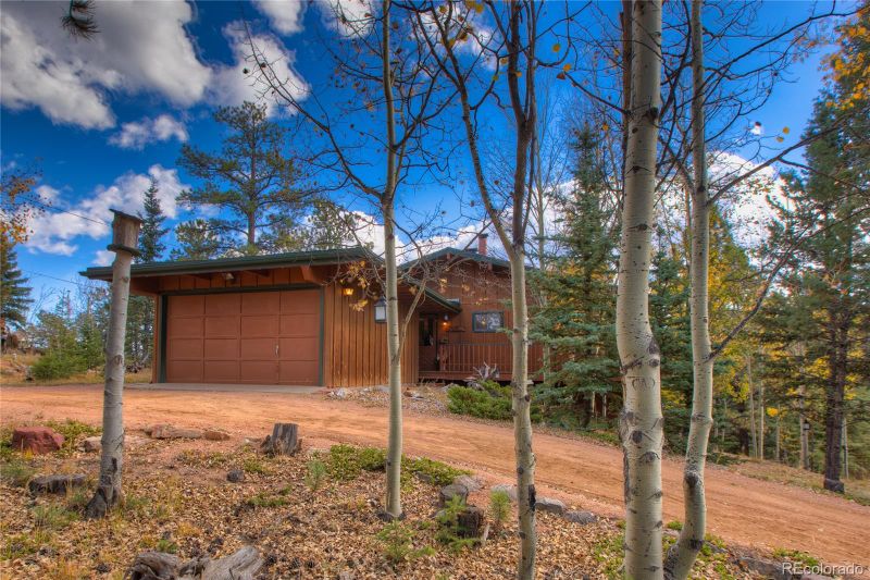 596 Ridge Rd, Divide, CO 80814