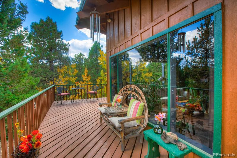 596 Ridge Rd, Divide, CO 80814