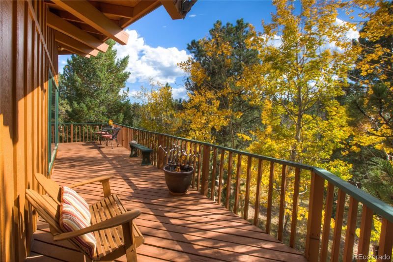596 Ridge Rd, Divide, CO 80814