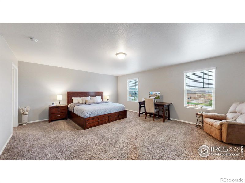 933 Keneally Ct, Windsor, CO 80550