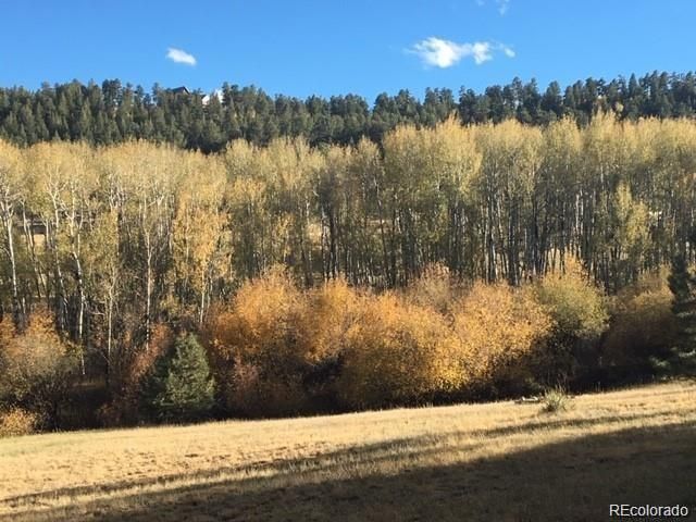 636 Bluebird Dr, Bailey, CO 80421