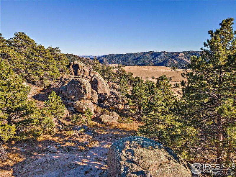 0 W County Rd 82e, Red Feather Lakes, CO 80545