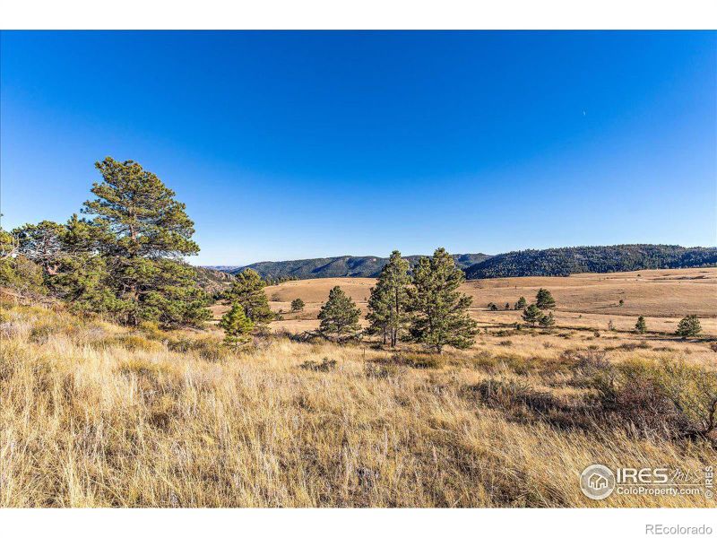 0 W County Rd 82e, Red Feather Lakes, CO 80545