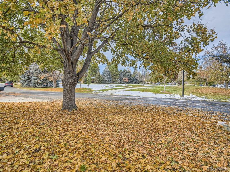 4508 W Lake Cir S, Littleton, CO 80123