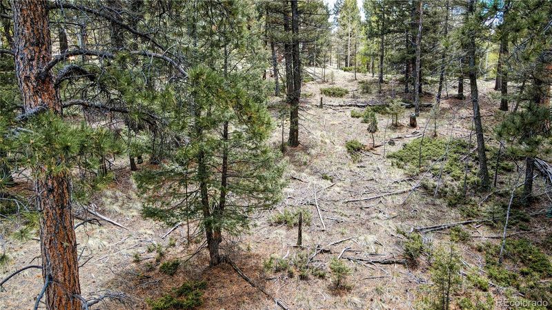 na Juniper Cir, Florissant, CO 80816