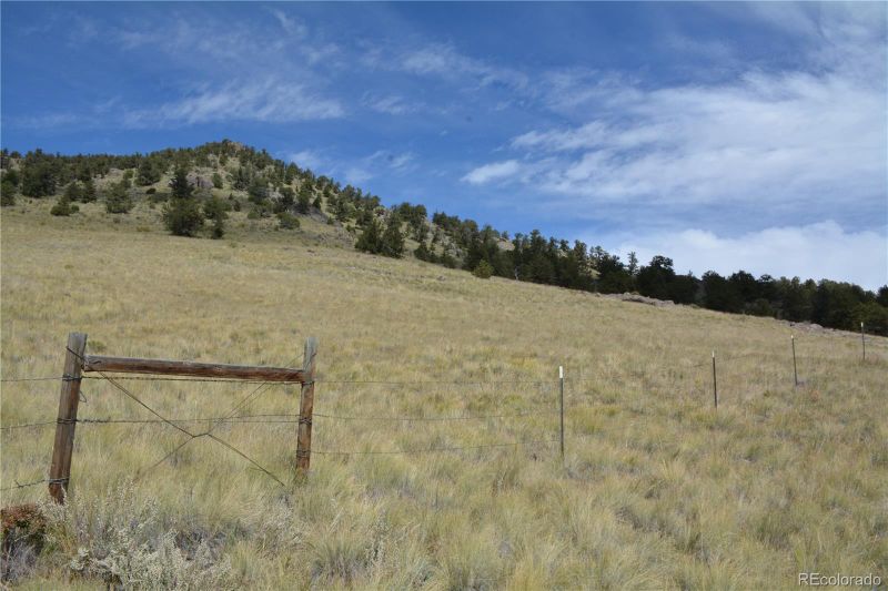 Lot 47 Saddle Mountain Ps Lot 47, Guffey, CO 80820