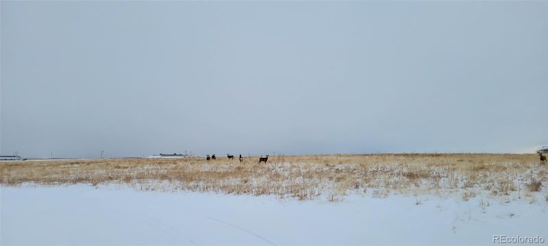 2444 S Ridge Rd, Castle Rock, CO 80104