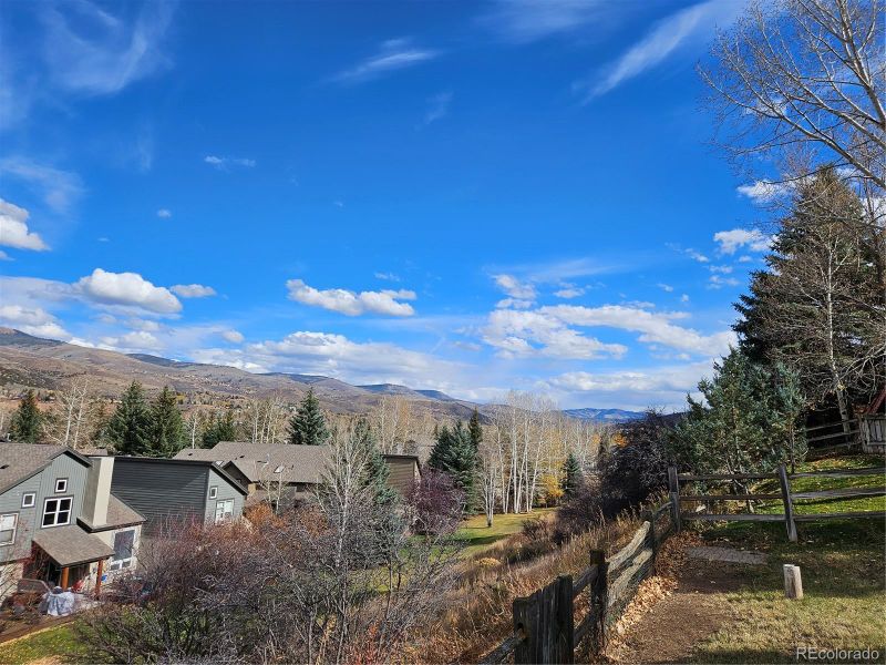95 Meile Ln, Edwards, CO 81632