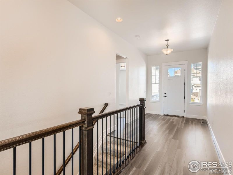 1839 Golden Sun Dr, Windsor, CO 80550