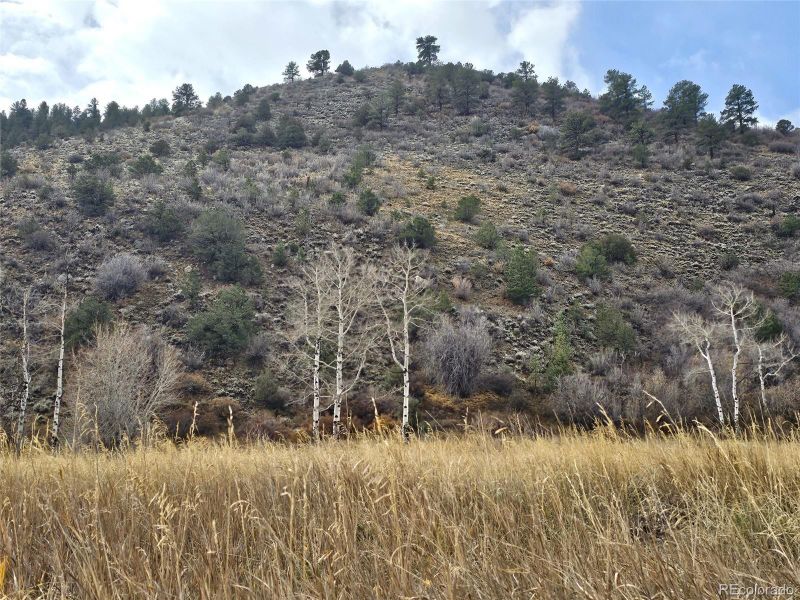 16905 Little River Ln Lot 24, Salida, CO 81201