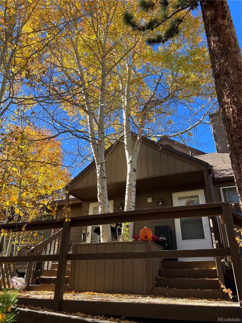 1842 Perigrine Ln #B, Silverthorne, CO 80498