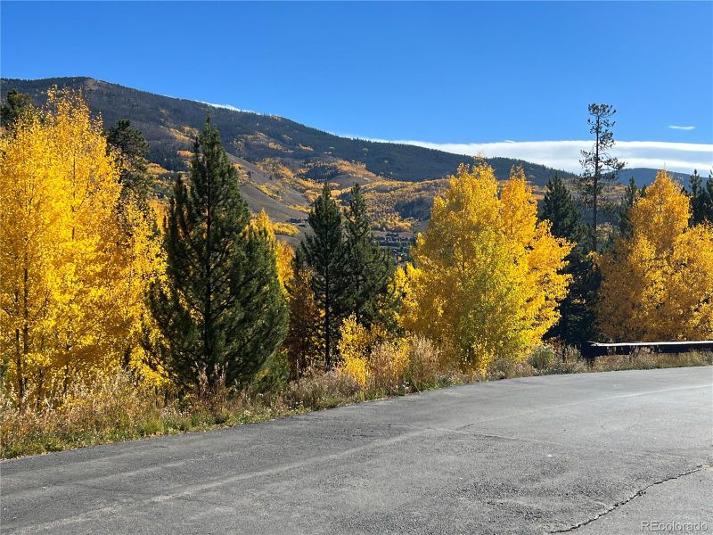 1842 Perigrine Ln #B, Silverthorne, CO 80498