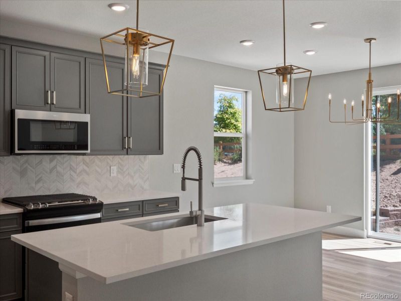 3956 Red Valley Cir, Castle Rock, CO 80104