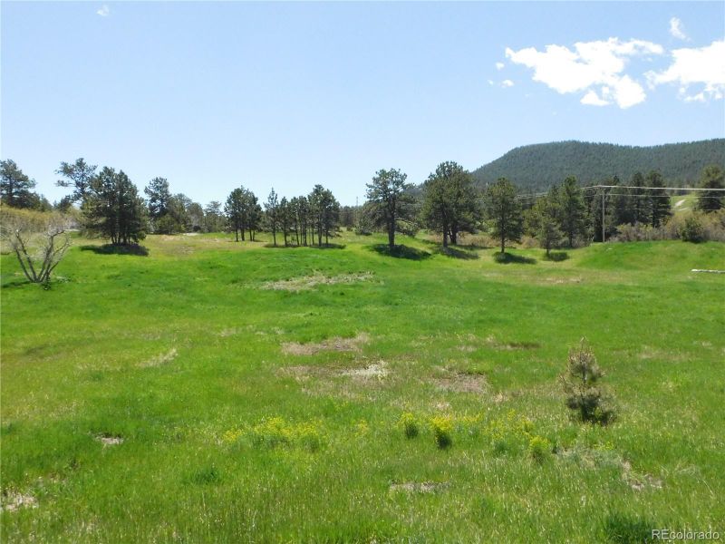 1100 Silverheels Dr Lot 4, Larkspur, CO 80118