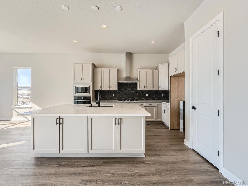 301 Leafy Aster Ln, Castle Rock, CO 80104