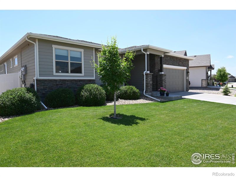 530 Vermilion Peak Dr, Windsor, CO 80550
