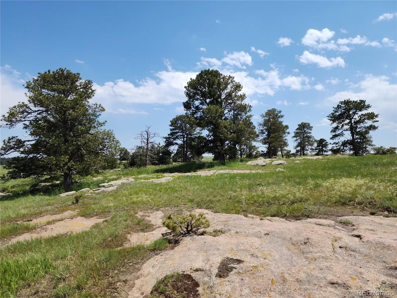 County Road 94 Elbert Co, Elbert, CO 80106