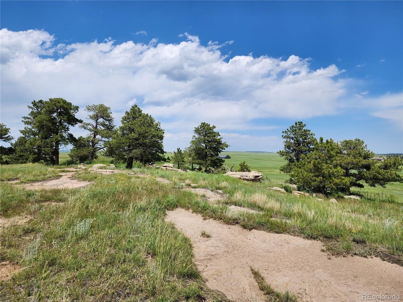 County Road 94 Elbert Co, Elbert, CO 80106