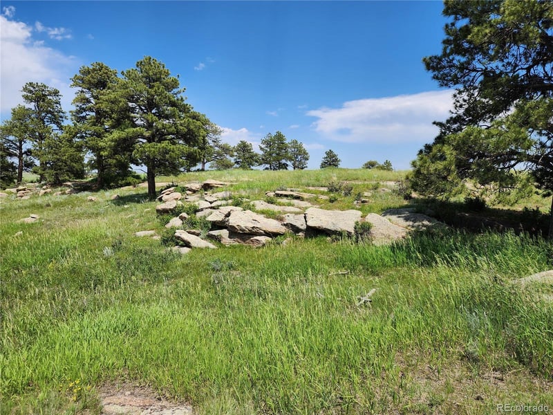 County Road 94 Elbert Co, Elbert, CO 80106