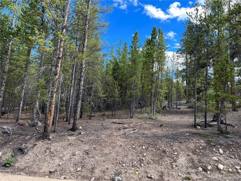 142 Juniper Dr Lot 392, Twin Lakes, CO 81251