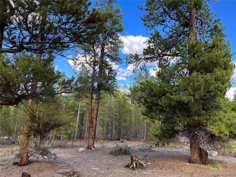 142 Juniper Dr Lot 392, Twin Lakes, CO 81251
