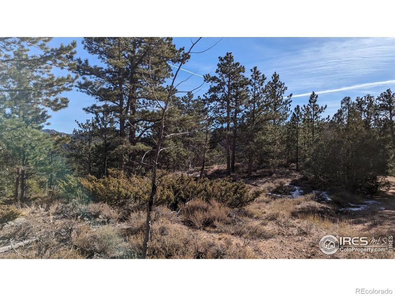 175 Hopi Ct, Red Feather Lakes, CO 80545
