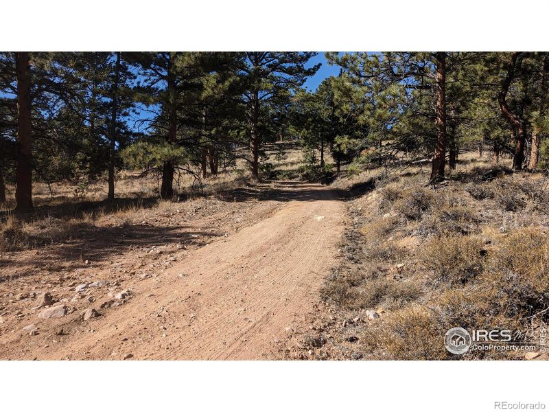 175 Hopi Ct, Red Feather Lakes, CO 80545