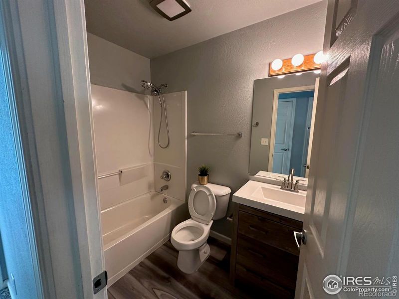 605 Kenosha Ct, Windsor, CO 80550