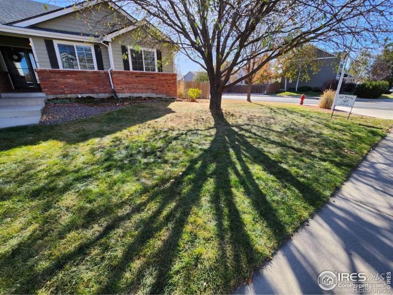 301 Amber Dr, Windsor, CO 80550