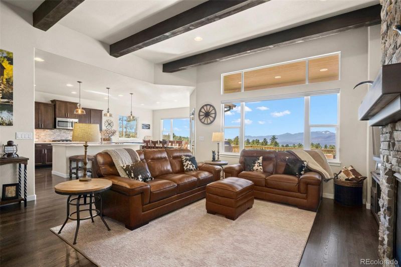 927 Graywoods Tc, Monument, CO 80132