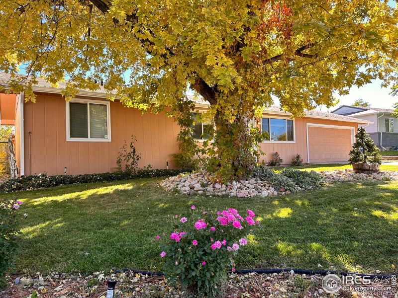 726 S Del Norte Ave, Loveland, CO 80537