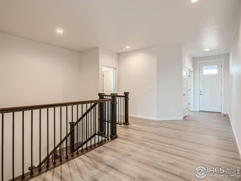 1855 Equinox Dr, Windsor, CO 80550