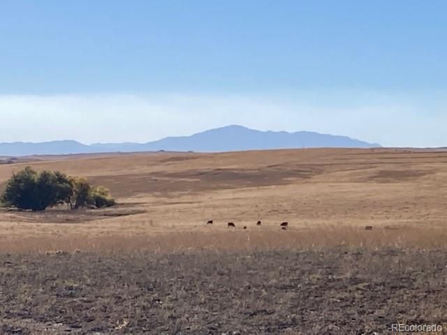 TBD E Hwy 24, Calhan, CO 80808