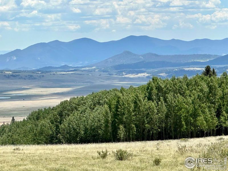 119 Fremont Knoll Ln, Jefferson, CO 80456