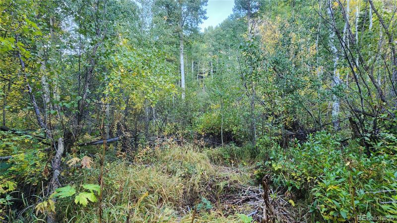 6471 Malcolm Rd, San Luis, CO 81152