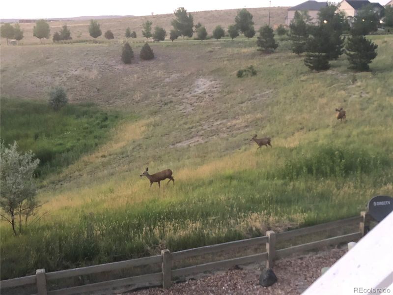 25017 E Lake Dr, Aurora, CO 80016