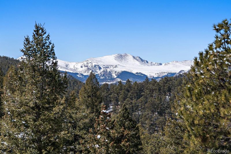451 Bear Meadow Trl, Evergreen, CO 80439